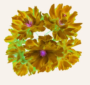 F 053E